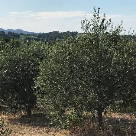 Gite Au Coeur Du Pays Cathare Verzeille エクステリア 写真