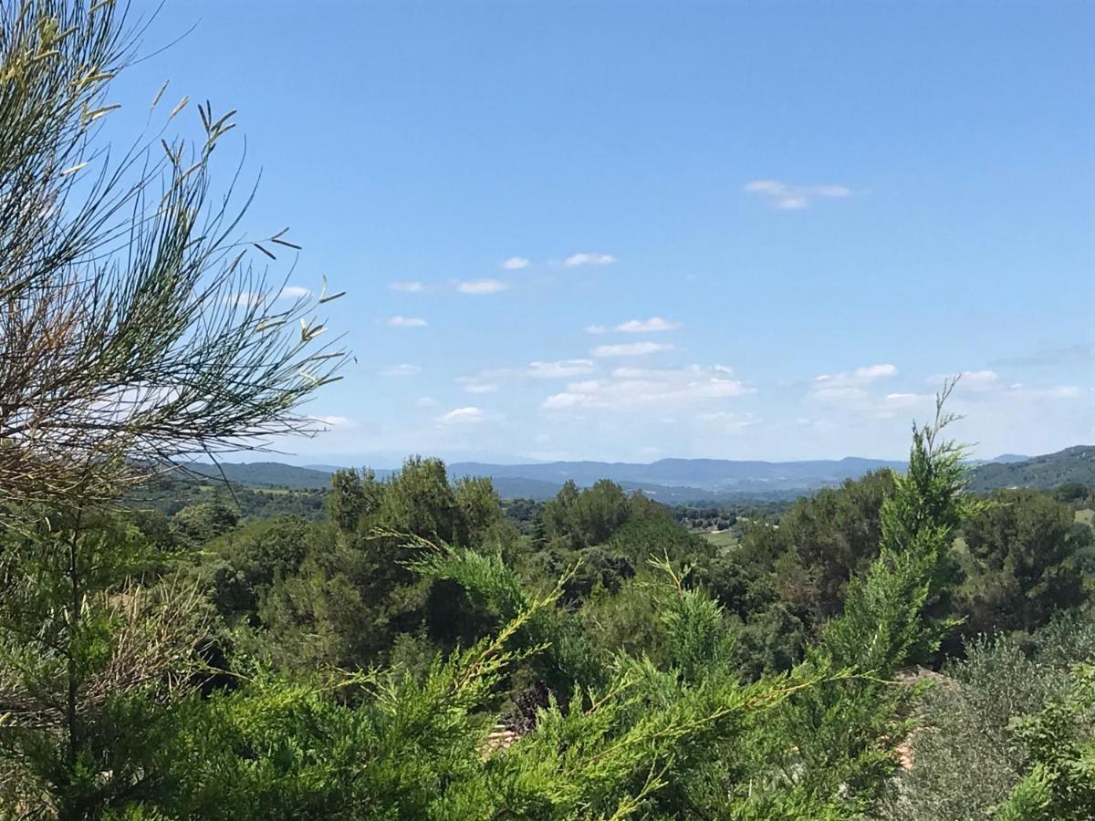 Gite Au Coeur Du Pays Cathare Verzeille エクステリア 写真